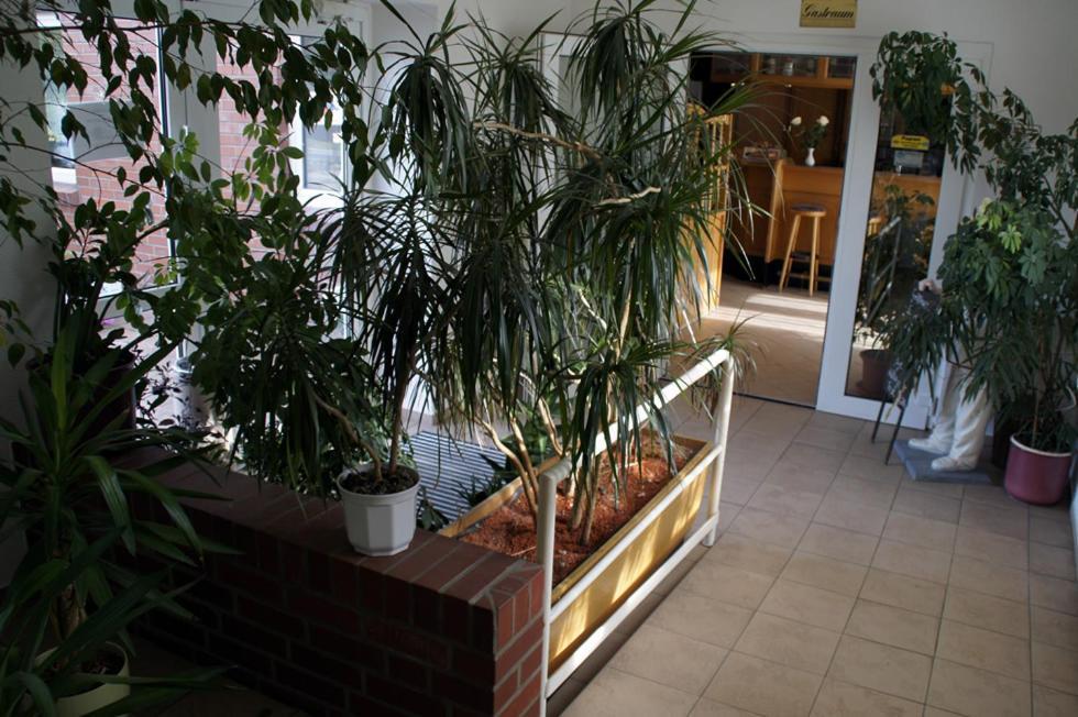 Landhotel Pagram-Frankfurt/Oder Frankfurt  Luaran gambar
